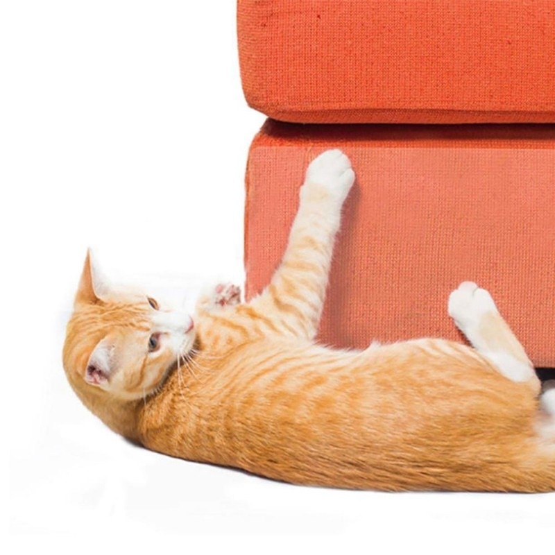 Reliable Must Tempatan Kucing Pet Cat Scratch Guard Mat Furniture Sofa Claw Protector Leather Chairs Training - Image 5