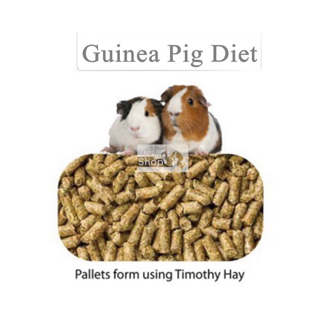mazuri timothy based guinea pig diet