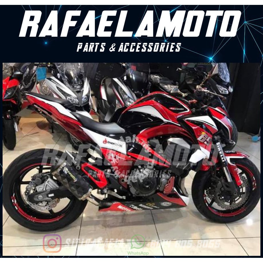 z800 fairing