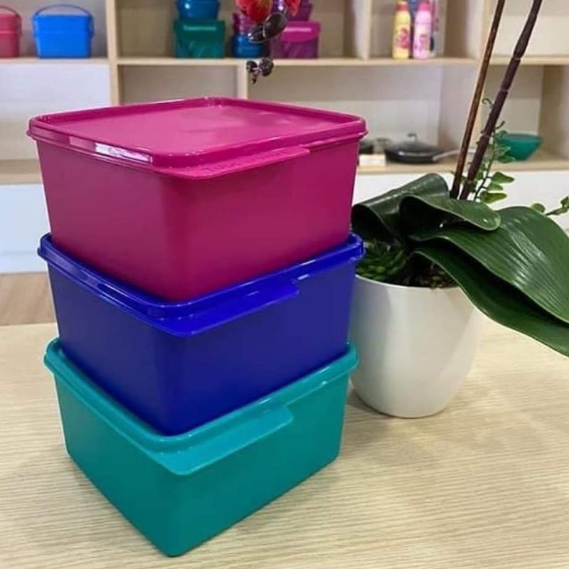 lunch-box-snack-stack-tupperware-1pc-shopee-malaysia