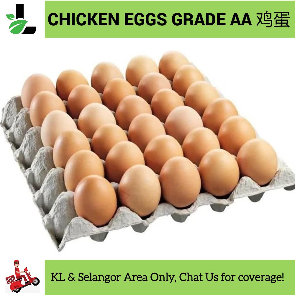 chicken-eggs-30pcs-grade-aa-telur-ayam-shopee-malaysia