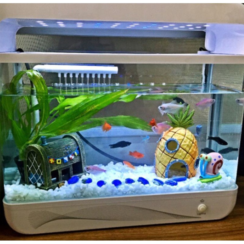 fish tank decoration at home