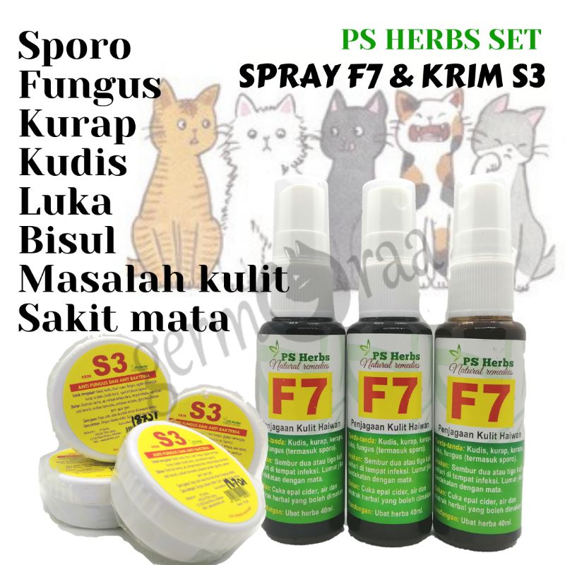 Merawat Kucing Selsema Teruk Archives Dennis G Zill