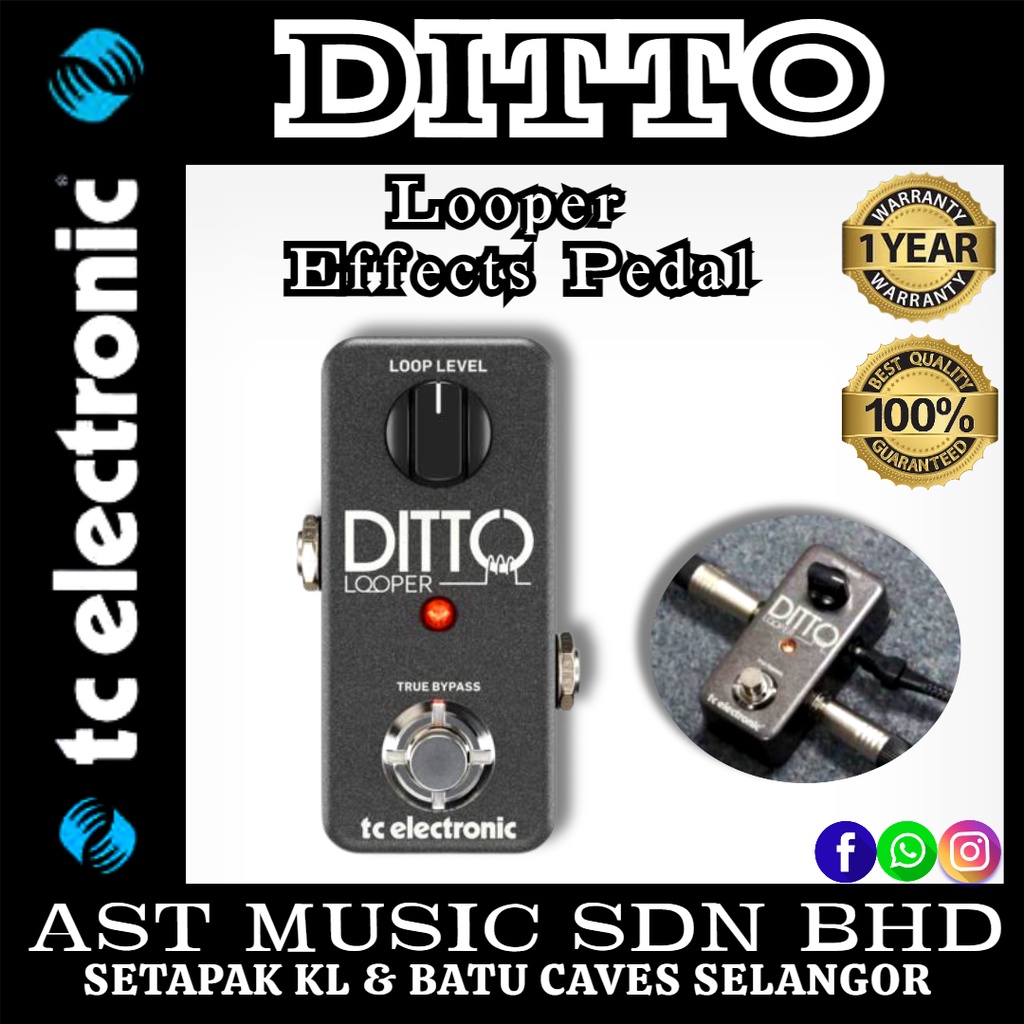 TC Electronic Ditto Looper Effects Pedal