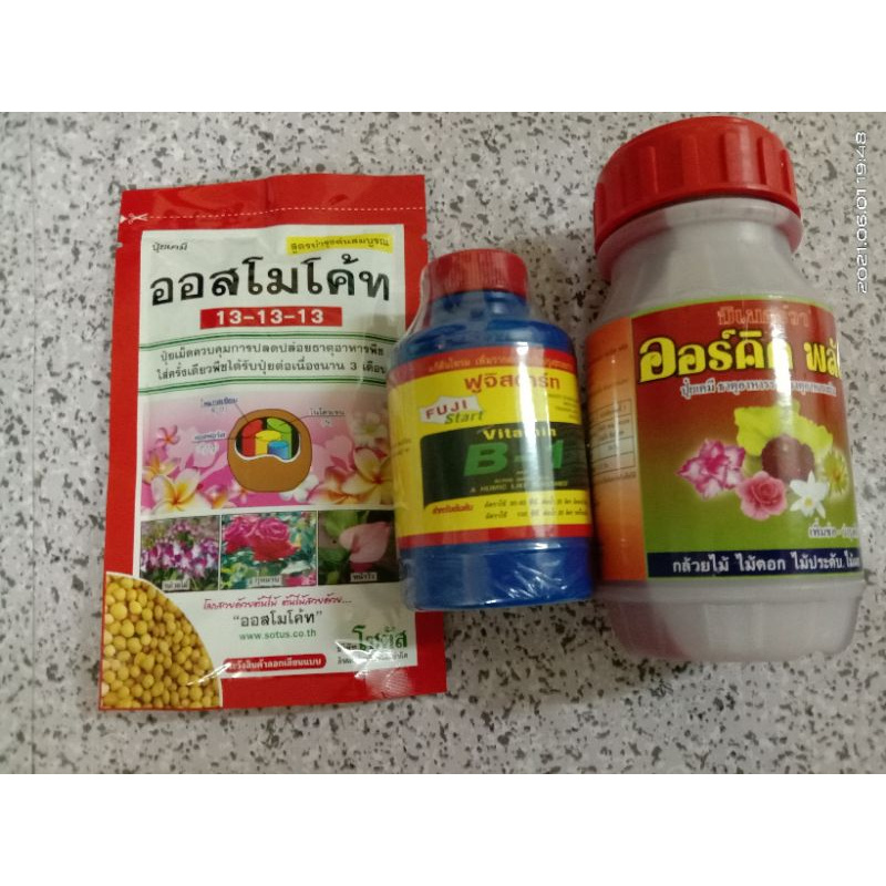 Buy Baja Orkid Combo Murah Seetracker Malaysia