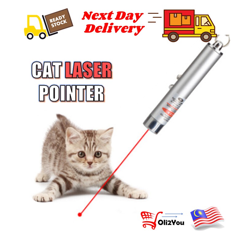 Laser Pointer Cat Kitten Fun Toy Training Tool LED Interactive Chasing
