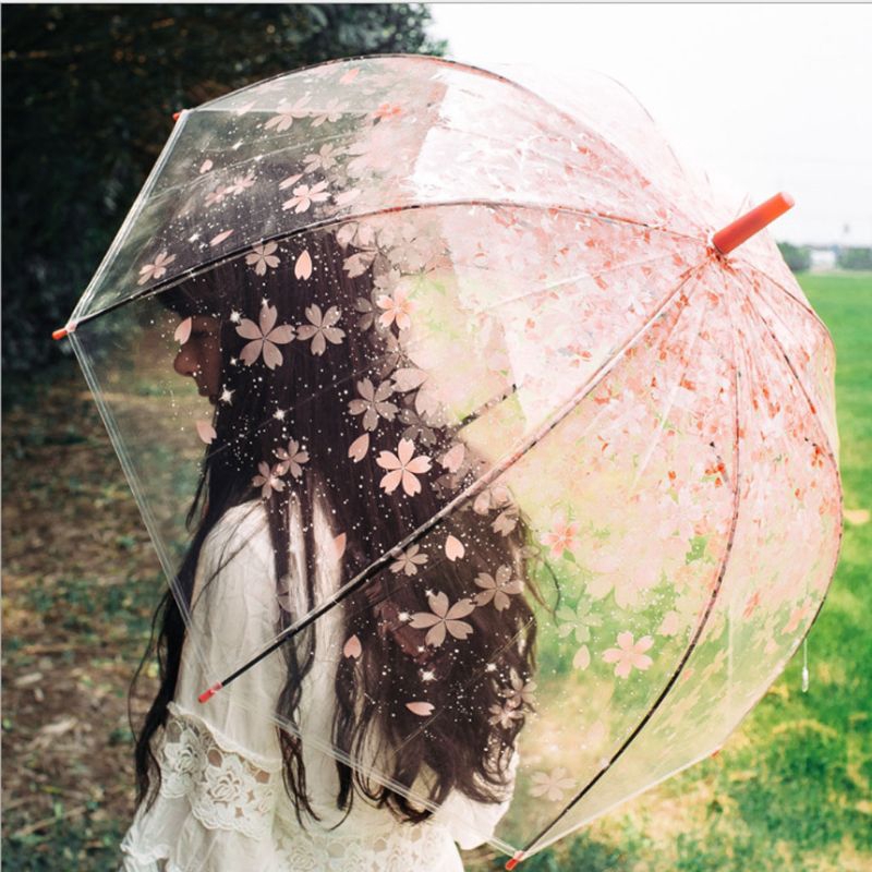 transparent rain umbrella