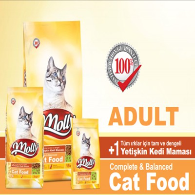 molly cat food