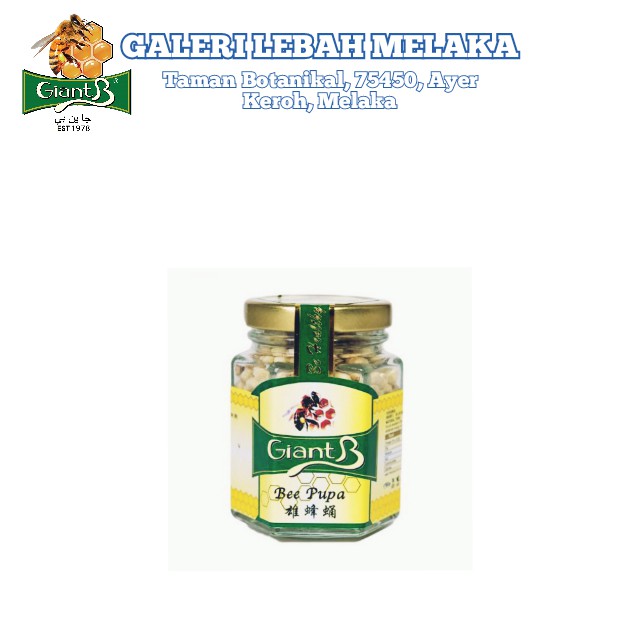 Giant B Honey - Pupa Lebah (Bee Pupa) | Shopee Malaysia