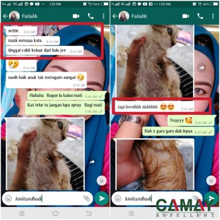 Ubat Kutu Kucing CAMAY INSECT REPELLENT Spray  Shopee 