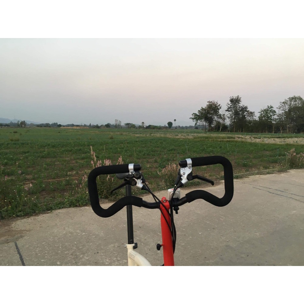 brompton p handlebar