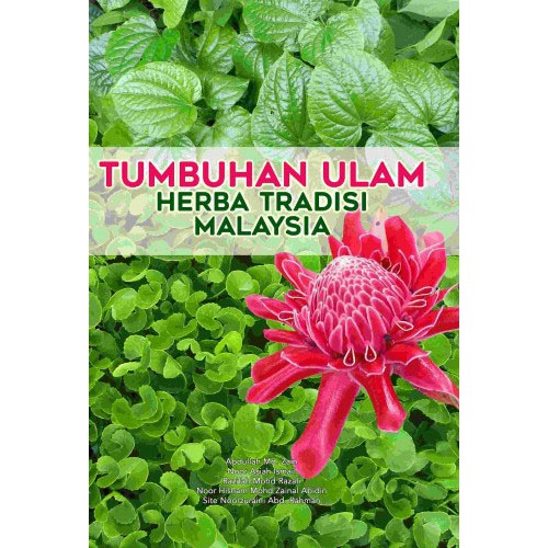 Tumbuhan Ulam Herba Tradisi Malaysia Shopee Malaysia