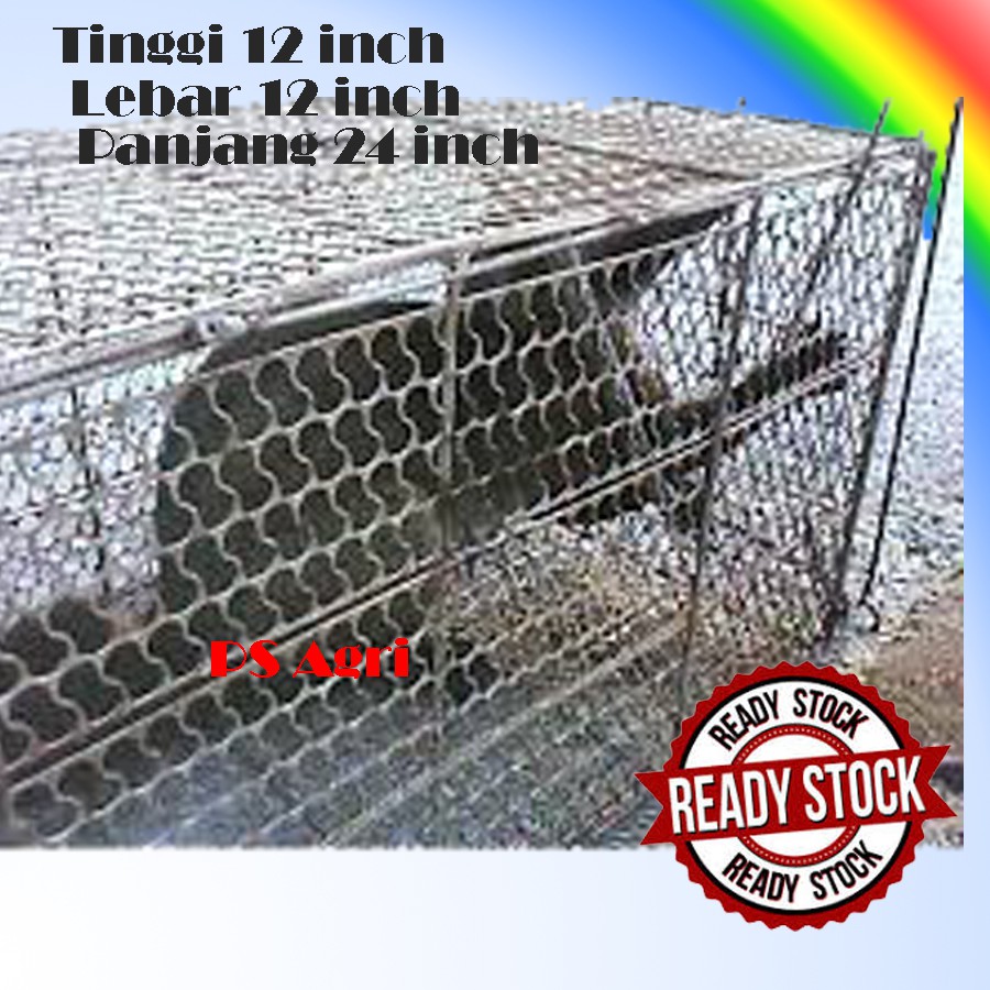 Buy Perangkap Sangkar Tikus Musang Tupai Kucing Cat Trap Cage 