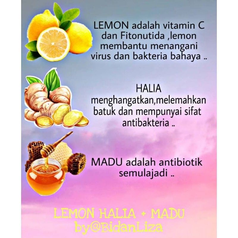 Air Lemon Halia Madu By Bidan Liza Minuman Detox Buang Angin Shopee Malaysia