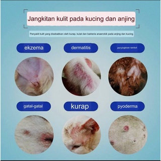 Nano Spray Ubat Sapu Kurap Luka Kudis Gatal Gugur Bulu Kucing Anjing