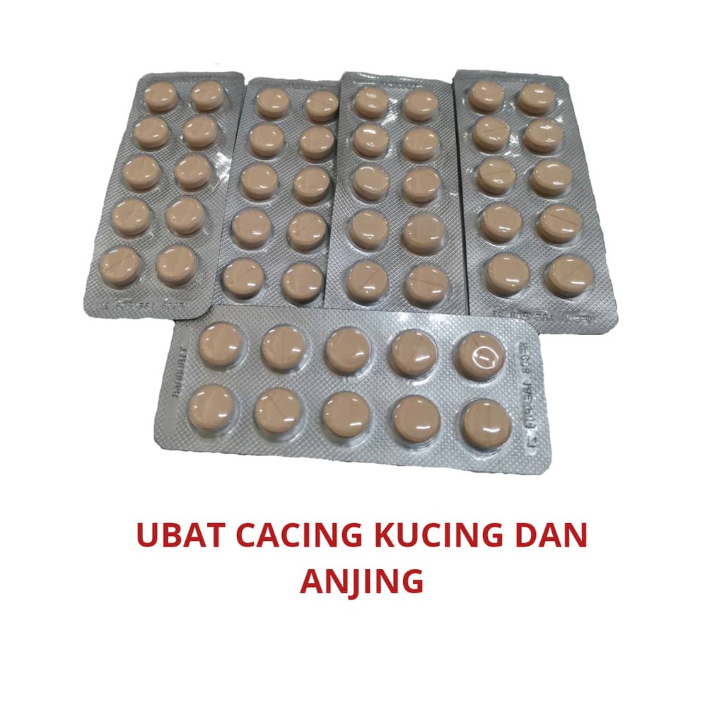 UBAT CACING TABLET KUCING / ANJING (1 biji)+++  Shopee Malaysia
