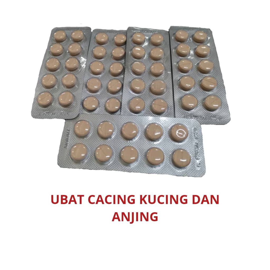 UBAT CACING TABLET KUCING / ANJING (1 biji)+++  Shopee 