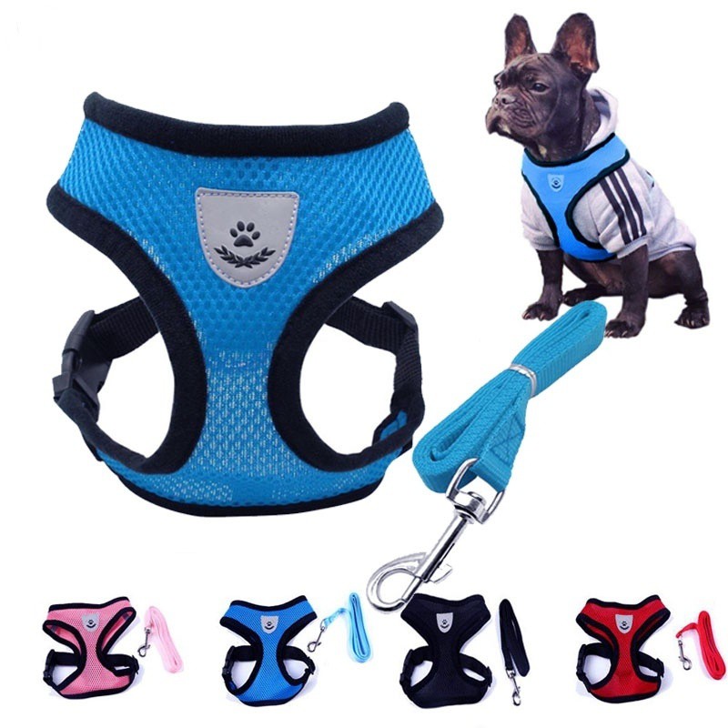 cute dog harness and leash