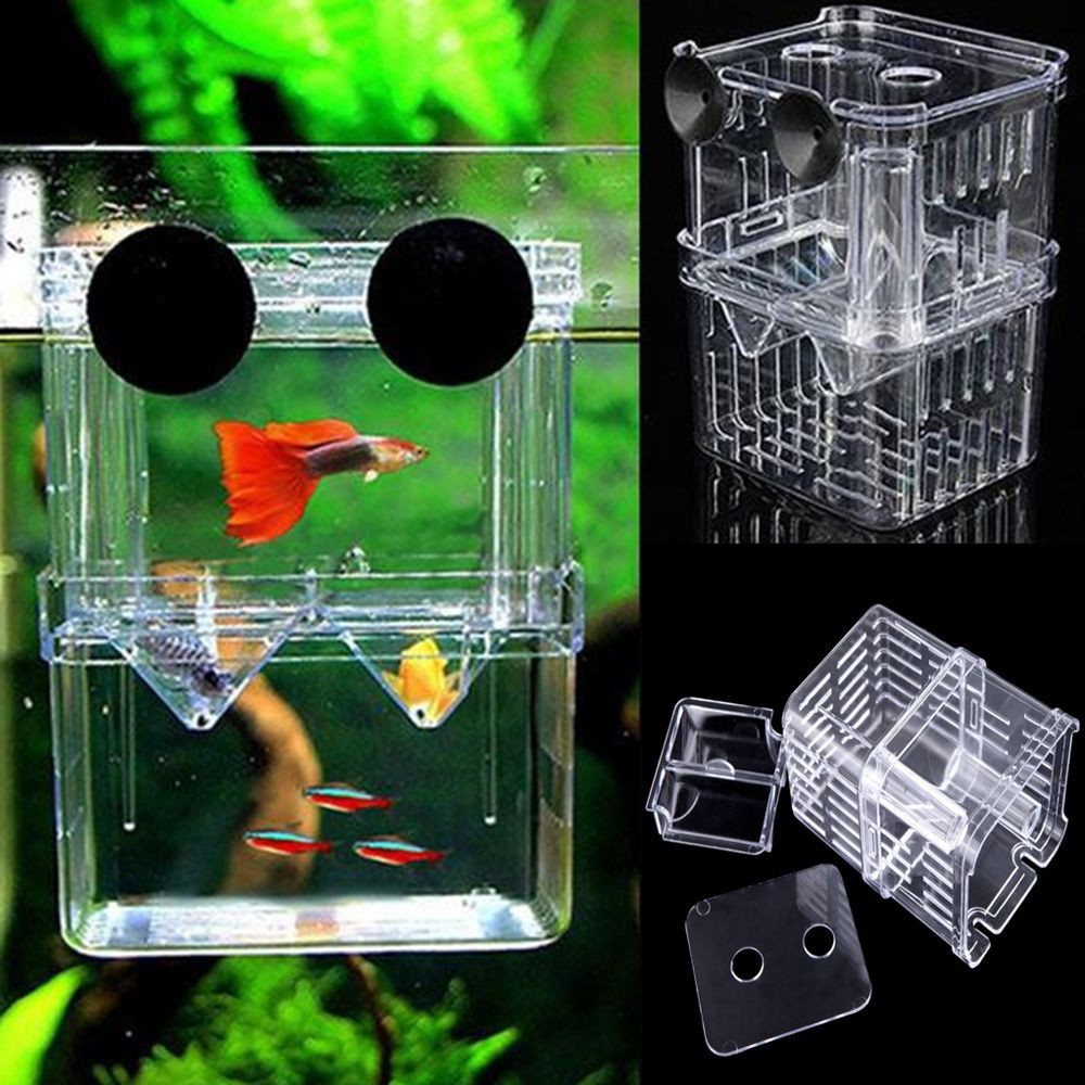 Tylu Hang-On Breeding Box Separation Breeder Box Small Fish Hatchery External Fish Tank Incubator 