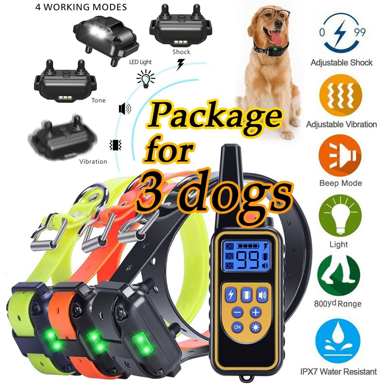 dog electric shock