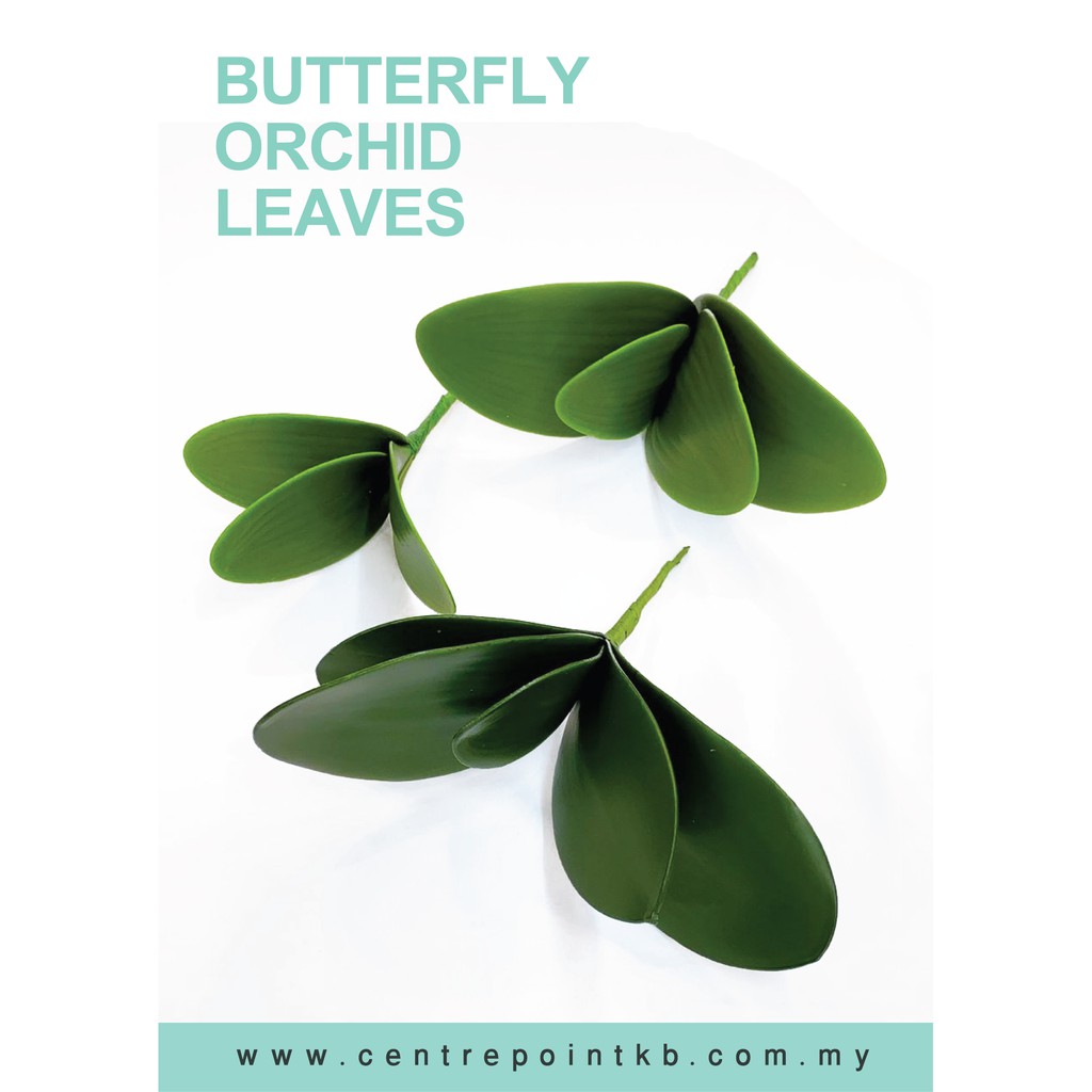 Buy Rubber Latex Orchid Leaf Daun Orkid Ready Stock Seetracker Malaysia