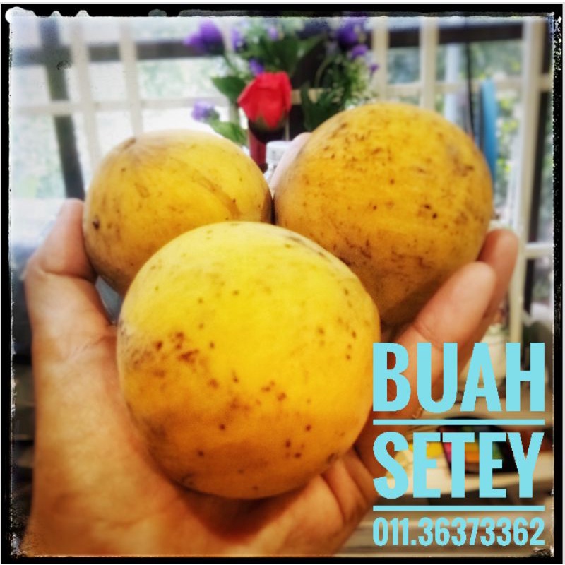 Buah-buahan Tempatan Rambutan Cempedak Manggis  Shopee Malaysia