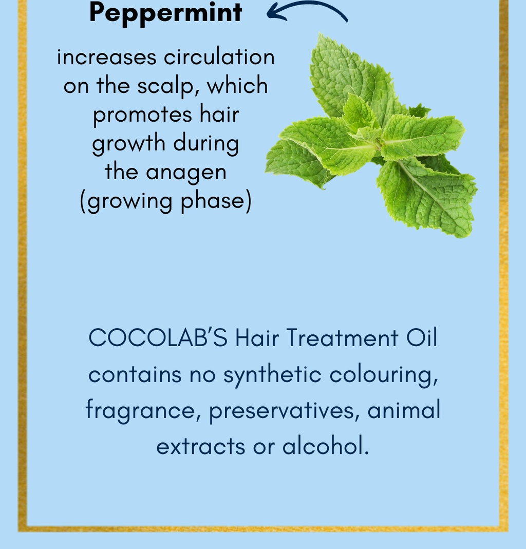 Cooling Scalp Treatment Oil from COCOLAB (50ml) [For Hair Fall, Weak