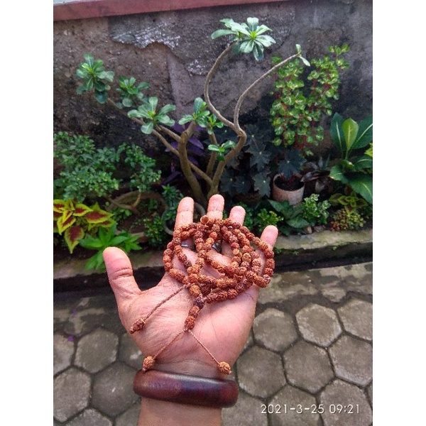 Arabic bidara Seed Tasbih 99 Grains 1000% original