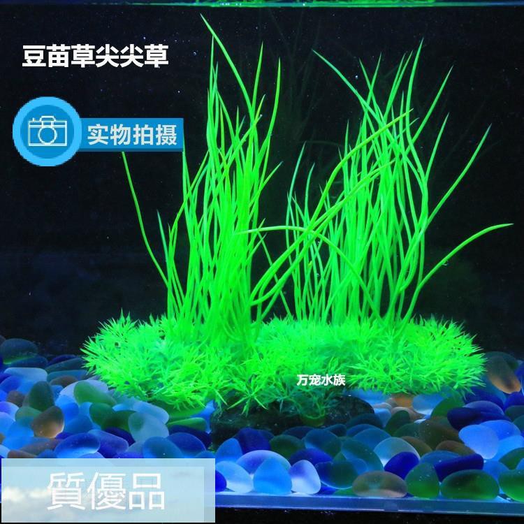 優品悠魚仿真水草裝飾假水草布景魚缸水族箱造景綠色草叢豆苗草尖尖草 Shopee Malaysia