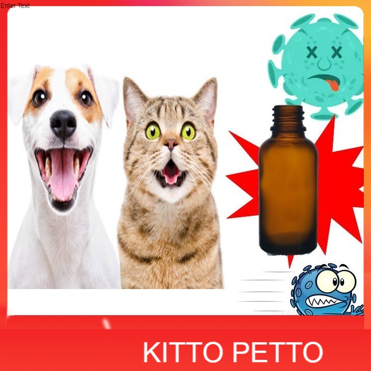 can kittens give dogs parvo