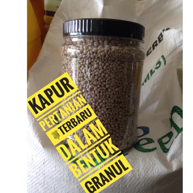 4 Aplikasi Manfaat Kapur Pertanian Untuk Tanaman Petani Cabe Youtube