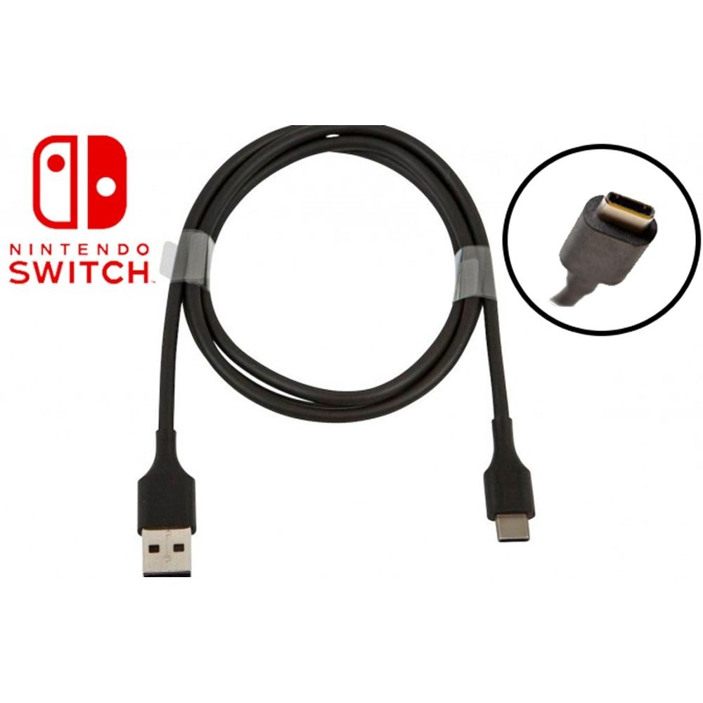 what type of usb does nintendo switch use