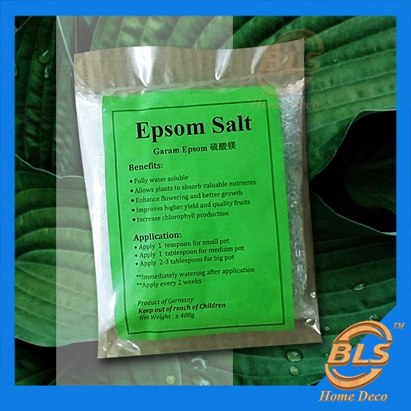 EPSOM SALT ± 400G FERTILIZER FLOWER PLANT ALLOWS PLANTS TO ABSORB