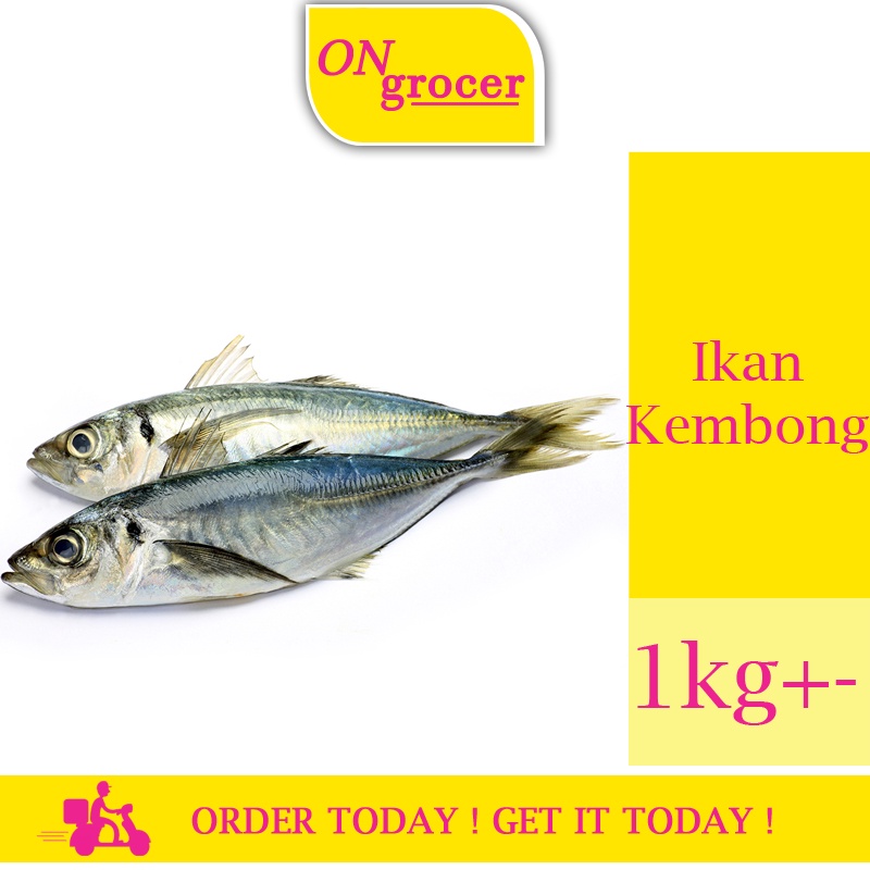 A0823 - Ikan Kembong - 1kg+- | Shopee Malaysia