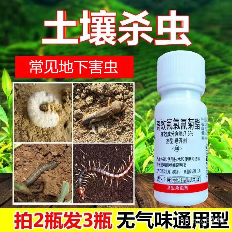 Buy Pesticides Insecticides植物土壤杀虫剂蜈蚣小黑飞潮虫花卉多肉盆栽蔬菜地下害虫花土杀虫 Seetracker Malaysia