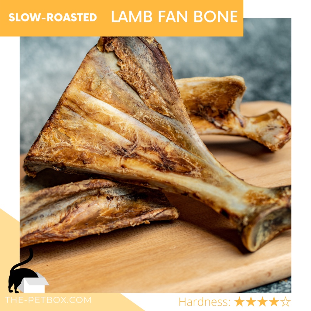 are cooked lamb bones safe for dogs