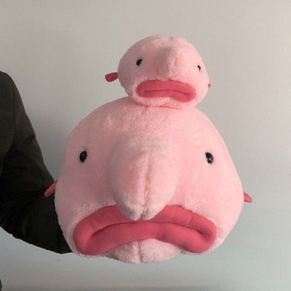 blobfish doll