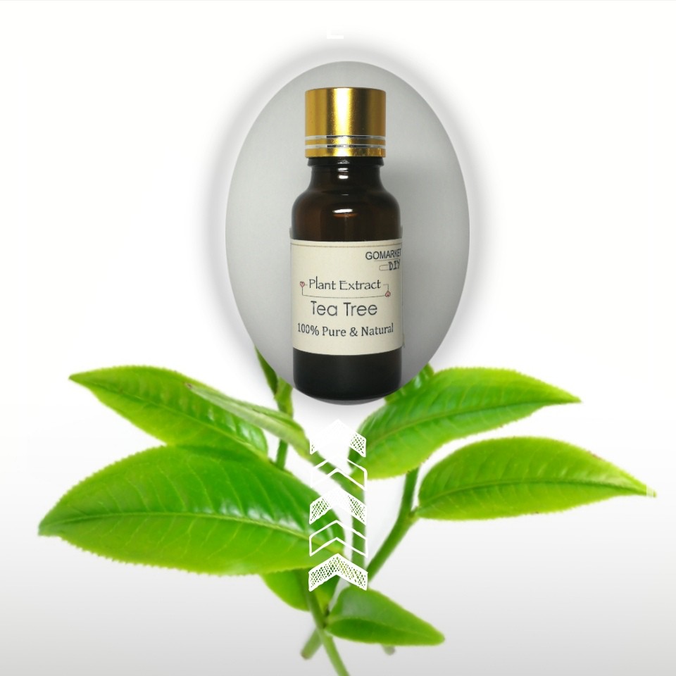 Tea Tree Extract liquid for Cosmetic plant extract Shopee Malaysia