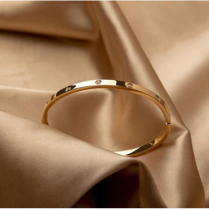 Titanium Steel 18K Rose Gold Bangle