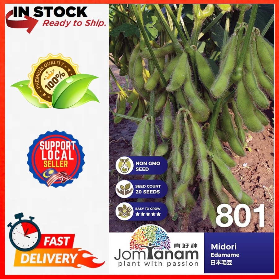 JOM TANAM SEEDS BENIH KACANG EDAMAME MIDORI CODE 801 BY POWER CROP ...