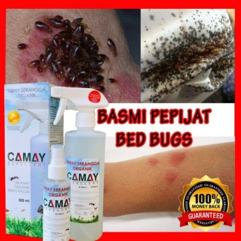 🔥hot Item🔥spray Serangga Ubat Pepijat Hama Tilam Bedbugs Bed Bug Spray Camay Repellent 0687