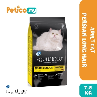 harga kucing domestic long hair