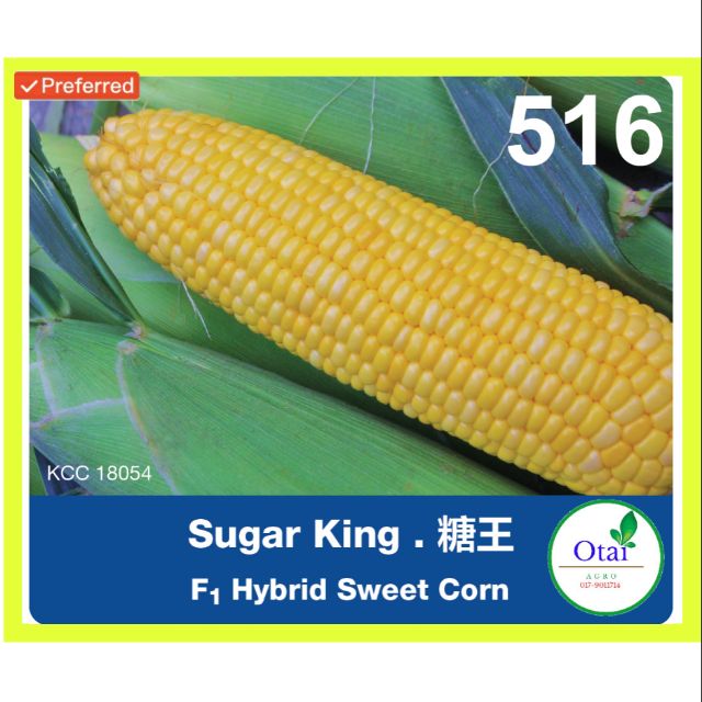 HOT SALE] BENIH JAGUNG MANIS SWEET CORN SUGAR KING (50G)  Shopee 