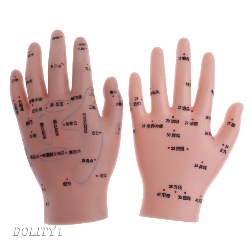 2 PCS Human Hands Model with Acupoint Traditional Medical Learning ...