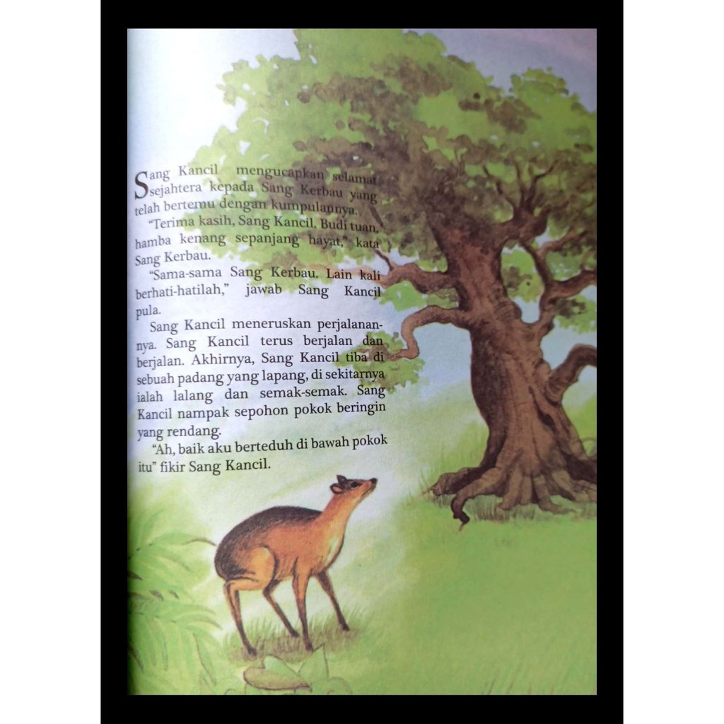 Kumpulan Cerita Sang Kancil Shopee Malaysia
