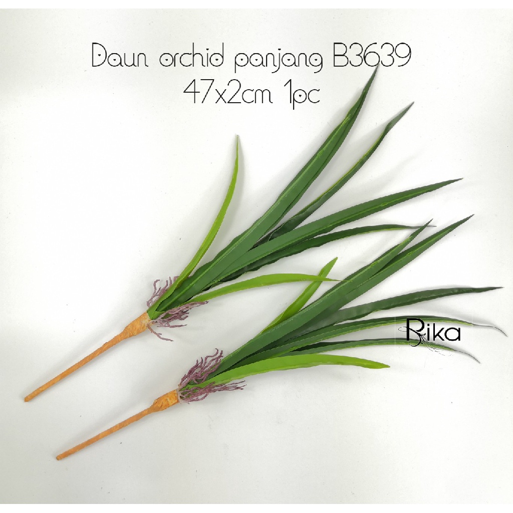 Daun Orchid Panjang 42x2cm B3639 1pc Shopee Malaysia