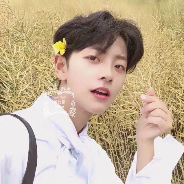 South Korea Wig Points Bang In Male Hair Short Straight Handsome