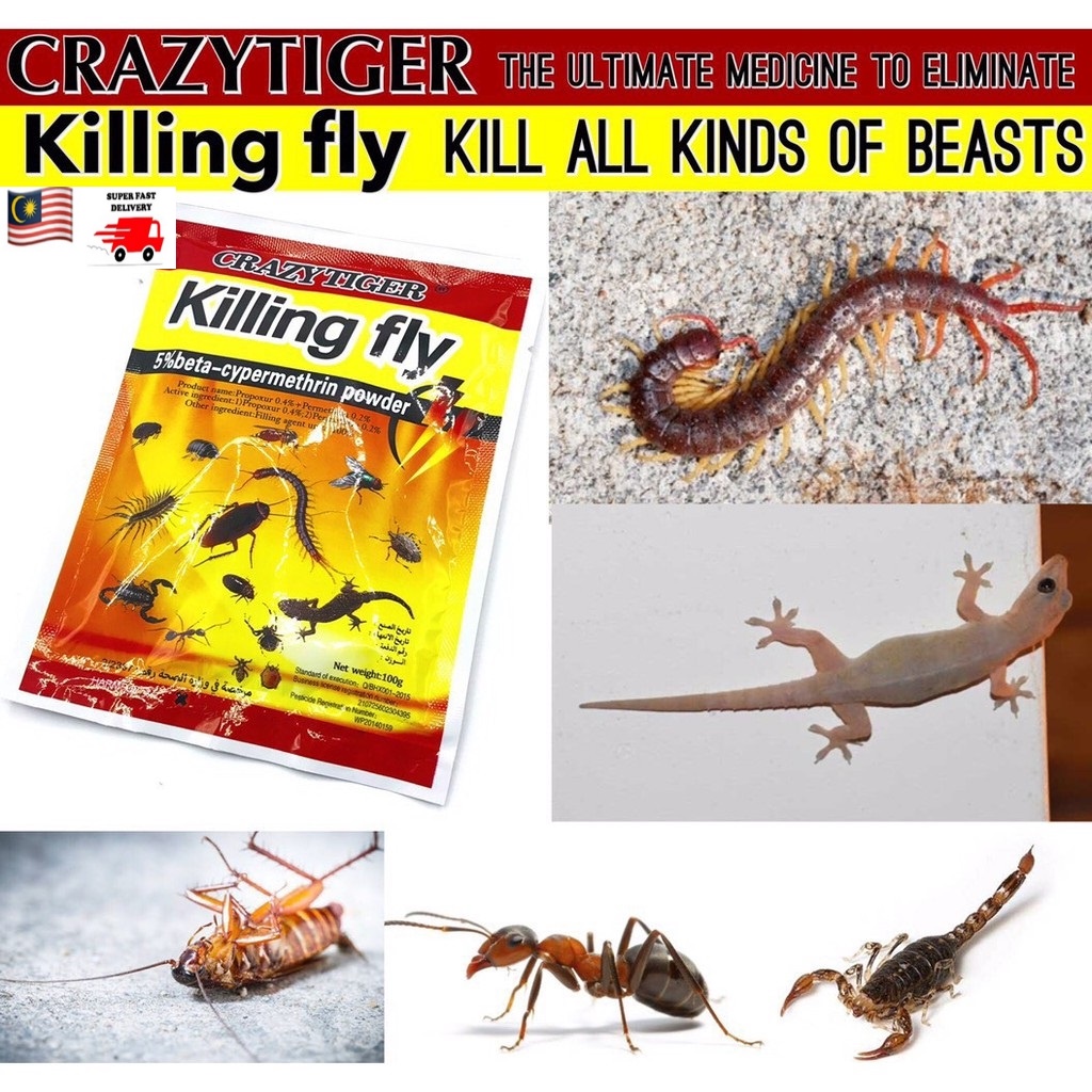 Crazy Tiger Powder Killing Fly Insecticide Repeller Ubat Serangga Lalat