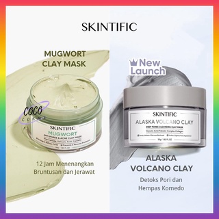 [READY STOCK] SKINTIFIC Mugwort Anti Pores & Acne Clay Mask 55g