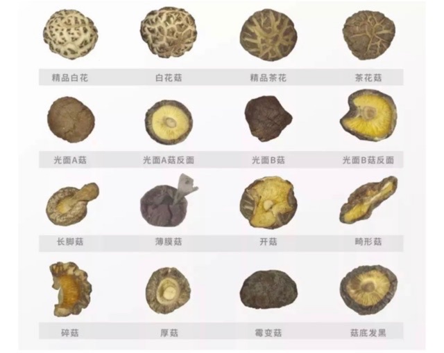 Dried Mushroom 精選茶花菇300g 3cm 4cm Shopee Malaysia